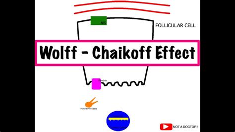 wolff chaikoff etkisi
